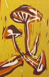 Adam Saks, Uprooted