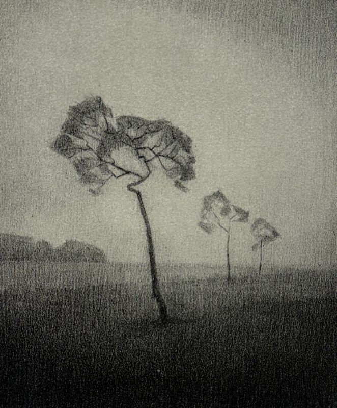 Christopher Rådlund, litografi II