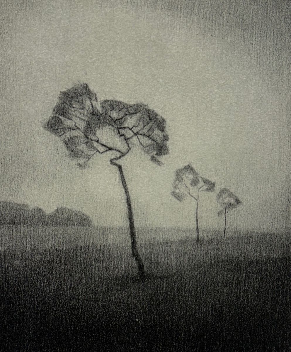 Christopher Rådlund, litografi II
